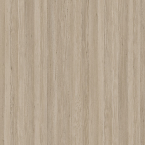E11025 Yifeng betula