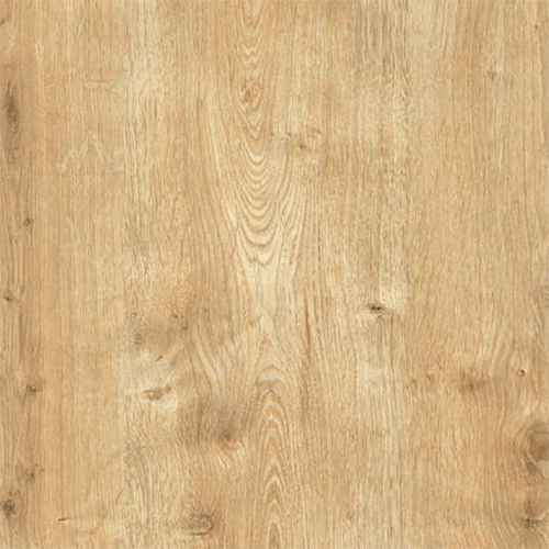 X7039 roble