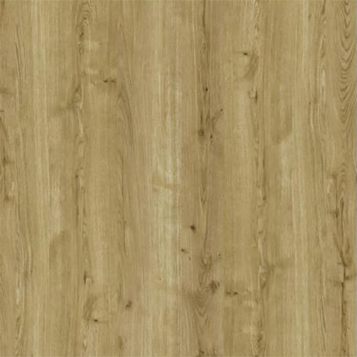 X7051 roble
