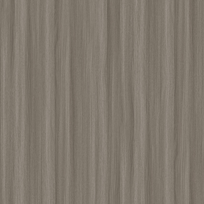 X2137 ELEGANT ELM
