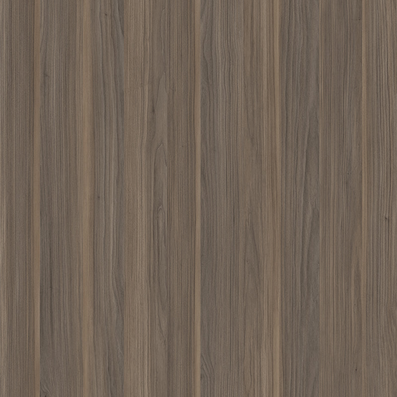 X2145 nuez cebra
