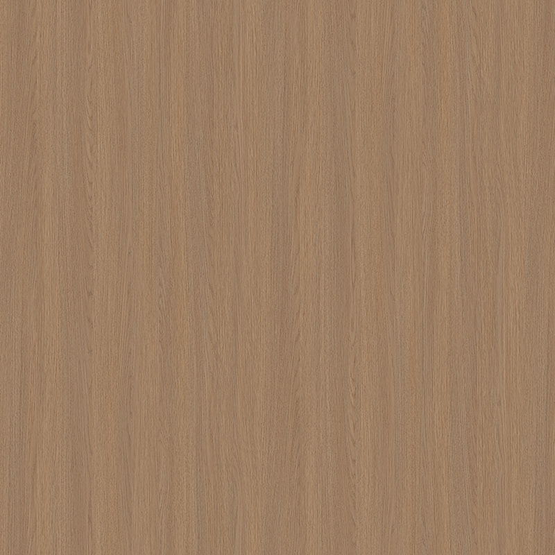 X2193 roble